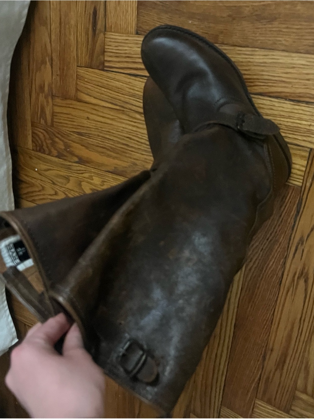 Frye Dark Brown Leather Ankle Boots